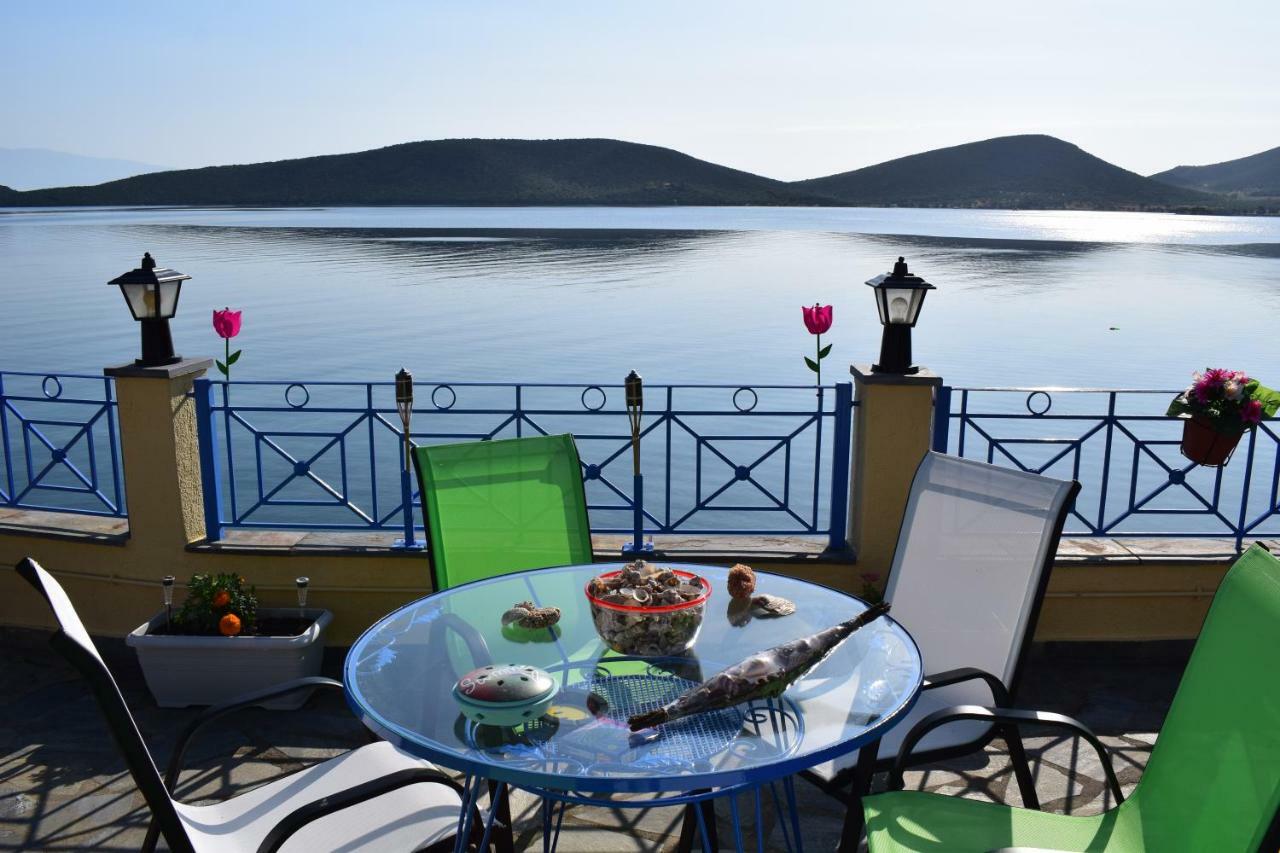 Vila Dimitris Constantinou Sourpi Exteriér fotografie